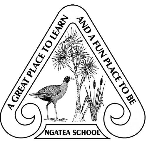 Ngatea School